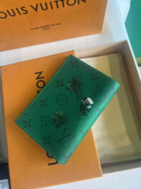 Louis Vuitton Green Passport Holder – Like New | Comes with Box63227862388994111