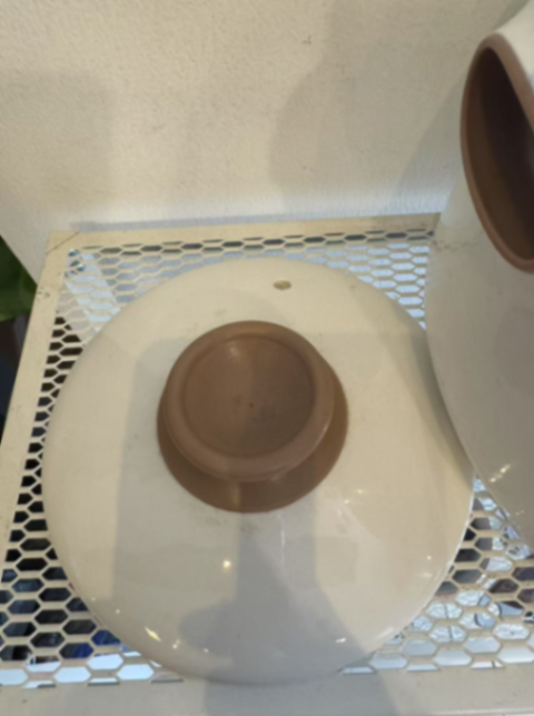 天际 TONZE Electric stew pot63270172651523112
