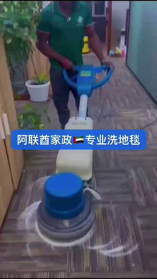 Sofa, Carpet, Mattress, Curtain & Car Interior Cleaning & Sanitizing63206731515138119