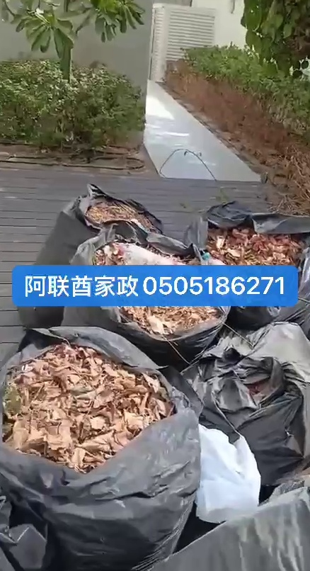 خدمات بستنة فيلا | جز العشب، التقليم، الصيانة والتسميد63206816000257112