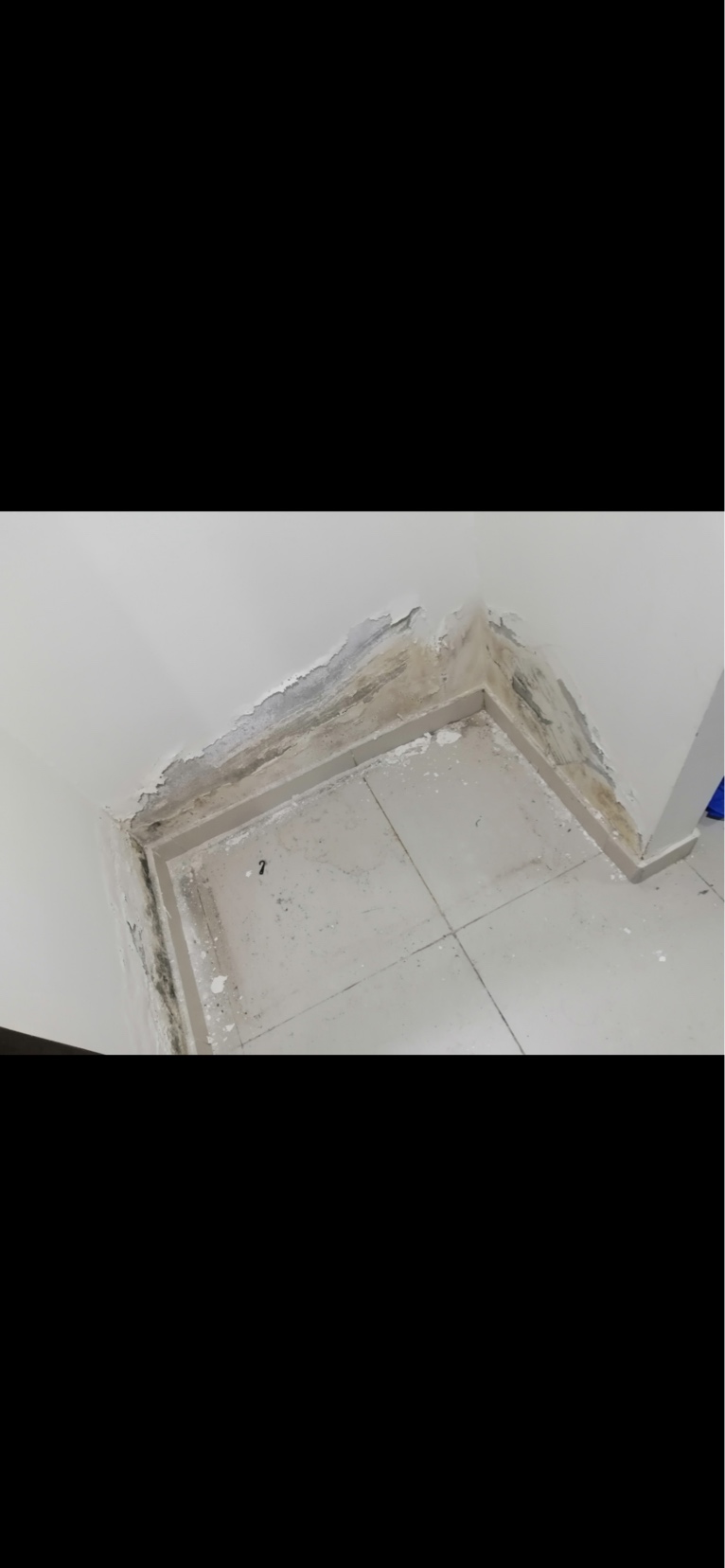 خدمات عزل المياه64678399145730110