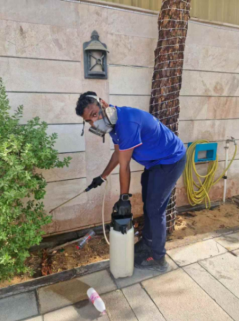 Pest Control Services for Massage Centers, Restaurants, Cafes | Municipality Approved | Contracts Available63206724501121113