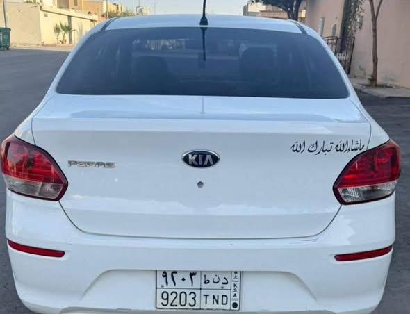 pegas-2021-64838994930818110
