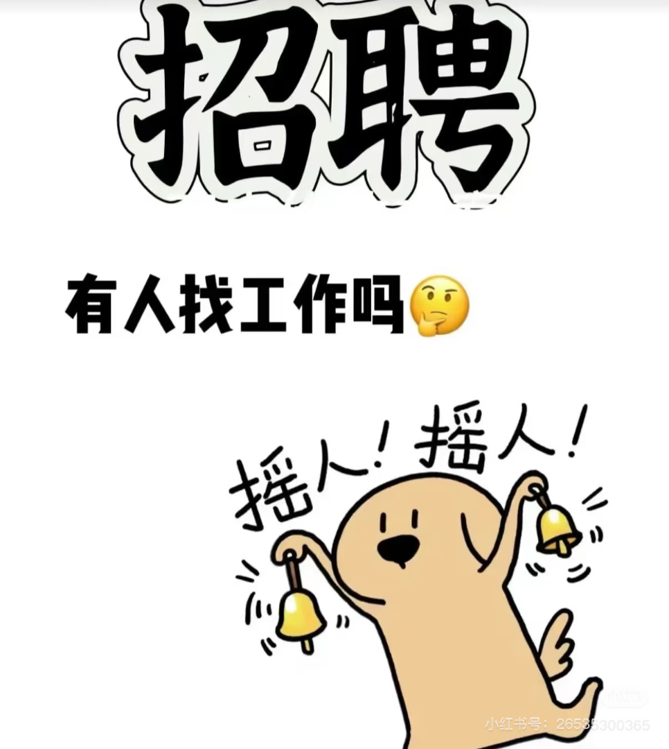 需要两名全职人员63469764135299112