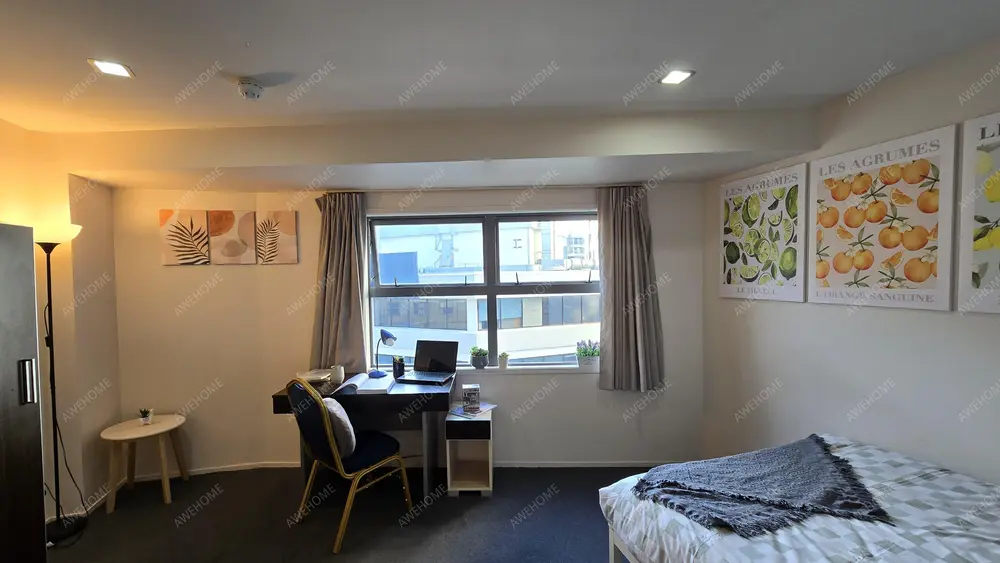 Studio With Private Bathroom and Kitchen - Includes Utilities (Standard)64253120543107110