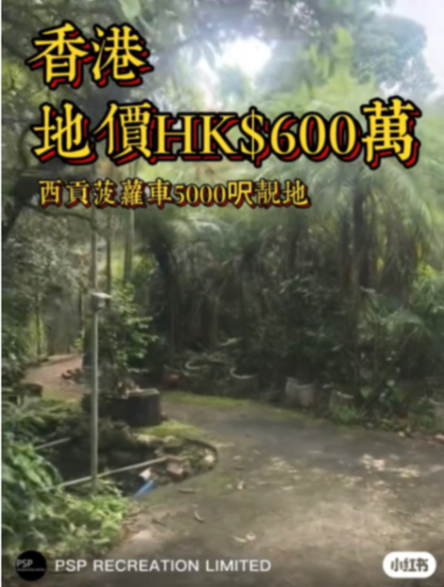 Sai Kung pineapple bun rare REC land use63433492827777116