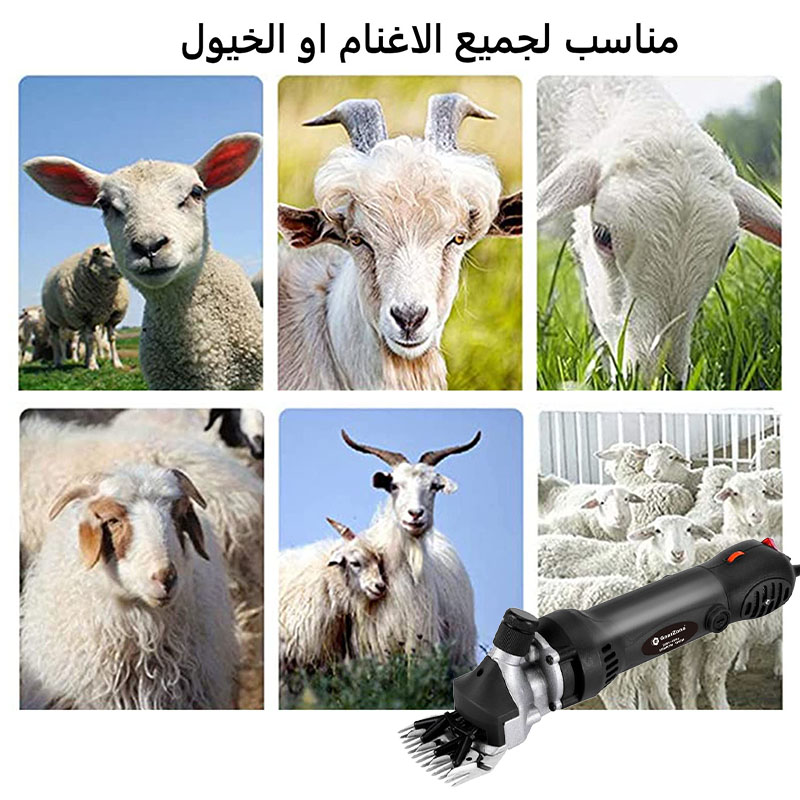 مقصات كهربائية احترافية من GearZone® محدثة حديثًا [6 سرعات] مناسبة لأصناف مختلفة من الأغنام63602096008195113