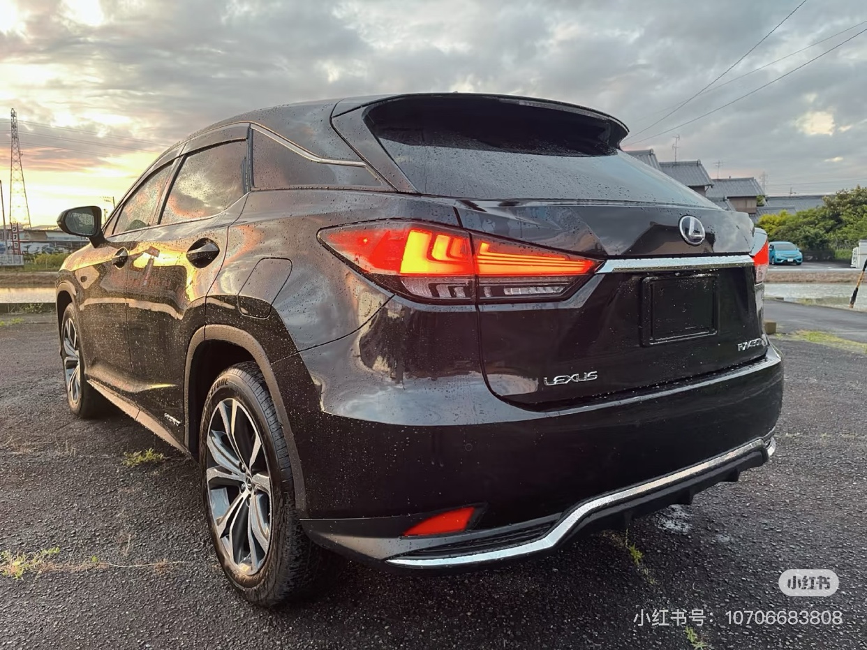 RX450h See you in Dublin64453895685635113