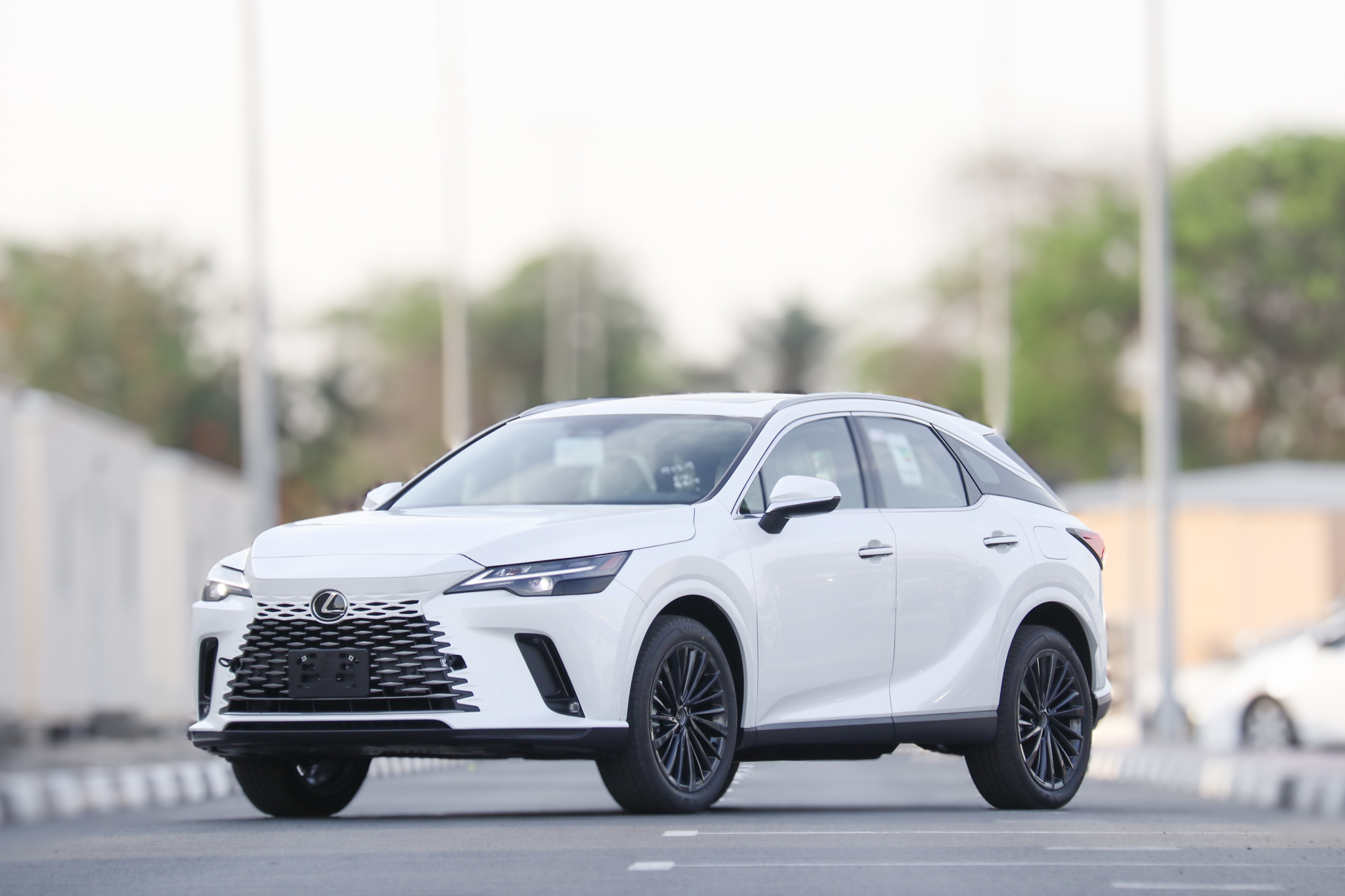 RX350 STD H 2025
