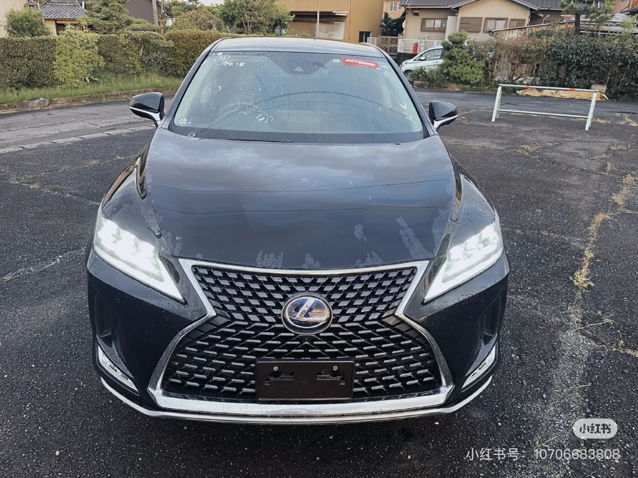 RX450h See you in Dublin64453895685635110