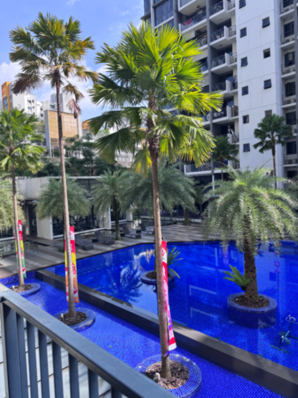 Graduation sublet63521560370050113